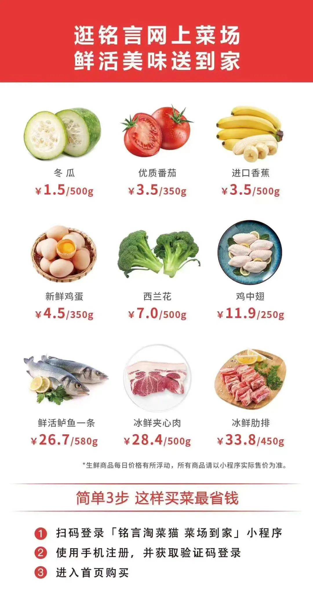 淘猫历险记国语