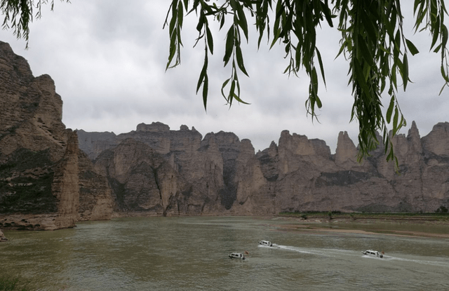 临夏市gdp2020_生日蛋糕图片2020