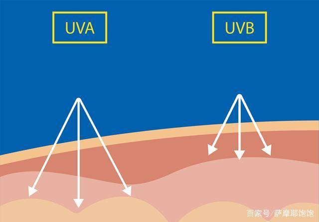 NB_UVB是什么原理_幸福是什么图片