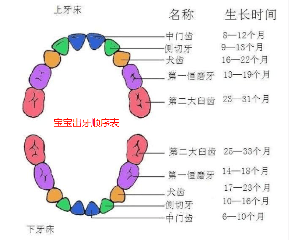 宝宝|其实在暗示父母：我要长牙啦！附出牙顺序表宝宝这四种异常表现