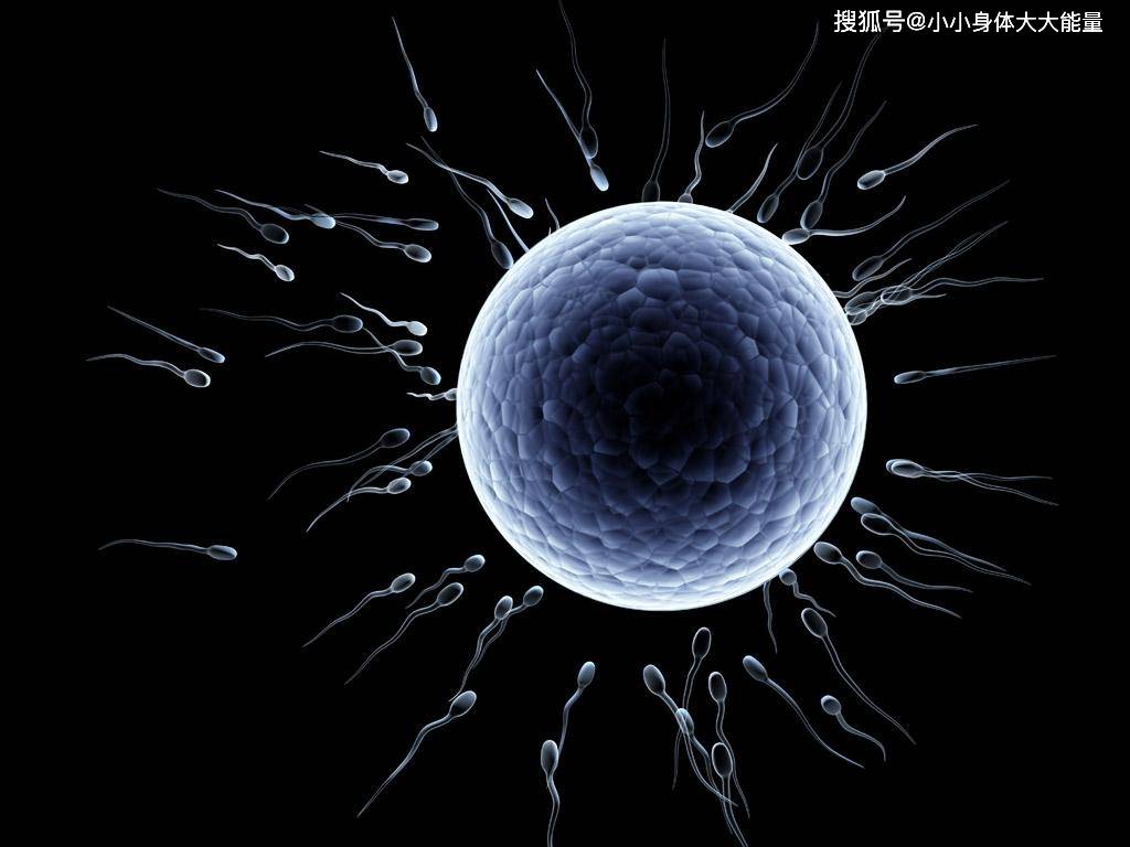 d3fa35d79a6f4e1090e40dc1c99583d7.jpeg