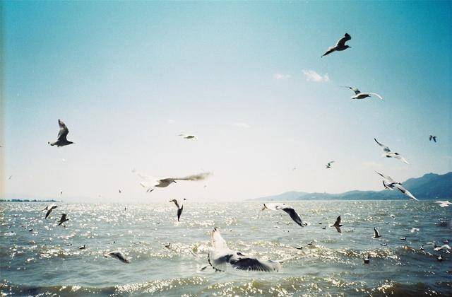 大连gdp全国排名2020_2020年大连地铁规划图(3)