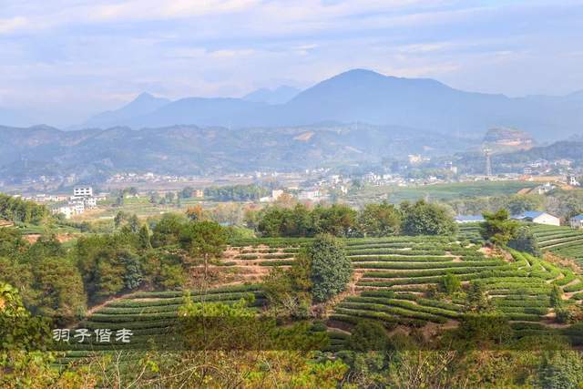 下一站茶山刘简谱_下一站茶山刘图片(3)