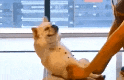 搞笑gif趣图:姑娘人家只是一个送外卖的,别这么欺负人家