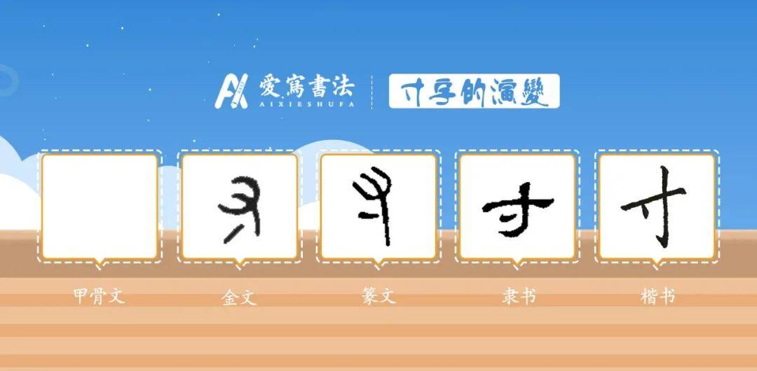 爱写一字丨寸字的讲解