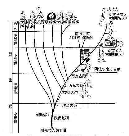 天长人口多少_蒙古国人口多少人口(3)