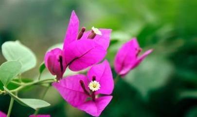 43eadc849f474a529d264f59247faaf6.jpeg