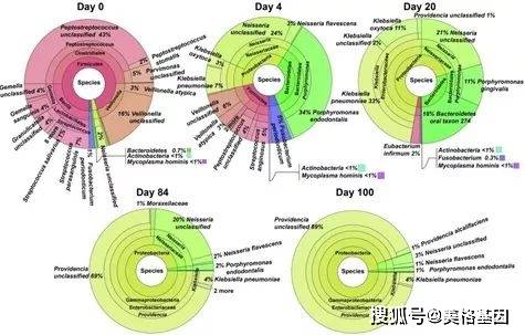 pnas 口腔微生物的饥饿游戏