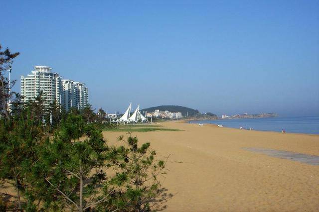 山东2020gdp前五_2020年山东高速规划图