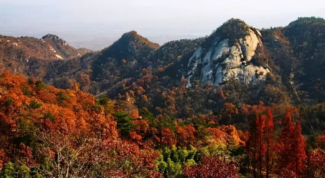 深秋之时,一定要去吴山镇,赏【铁山红叶】,看漫山遍野,层林尽染,红叶