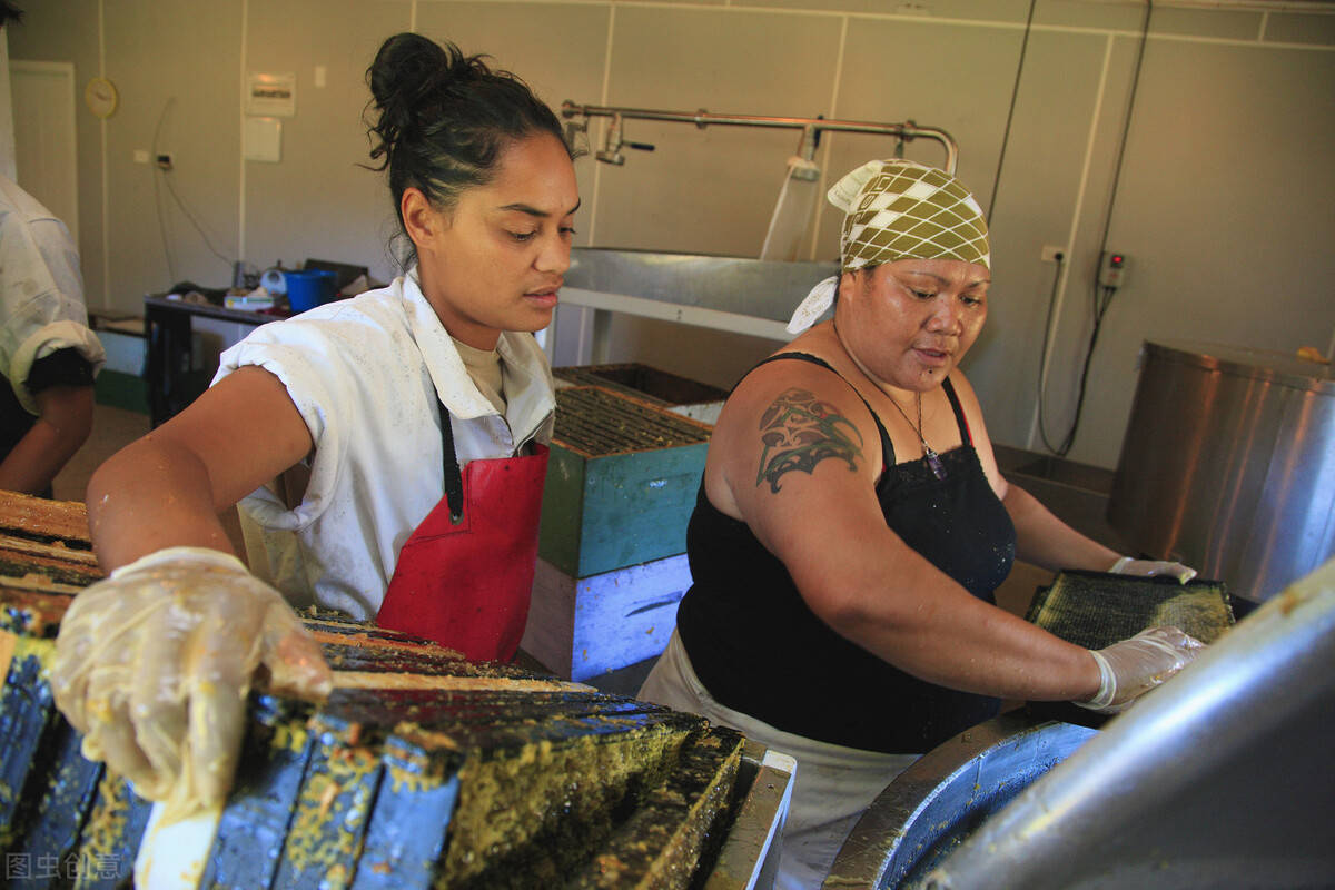 gdp 毛利_毛利侦探事务所(2)