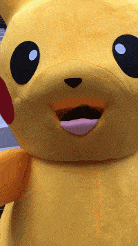 这猫目测是物理体育双修的啊!姑娘躲在皮卡丘里面干坏事!