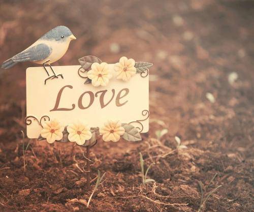 人家说节哀顺变该怎么回答 b534f08998f74529a9f3545673d7f44d.jpeg