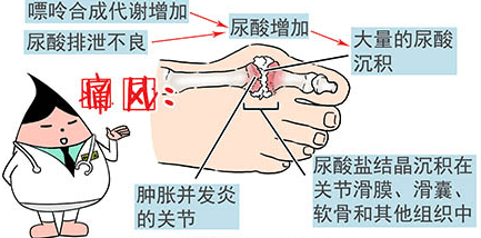 e7eaf9dba65f4f29925297eb81e83c3e.png