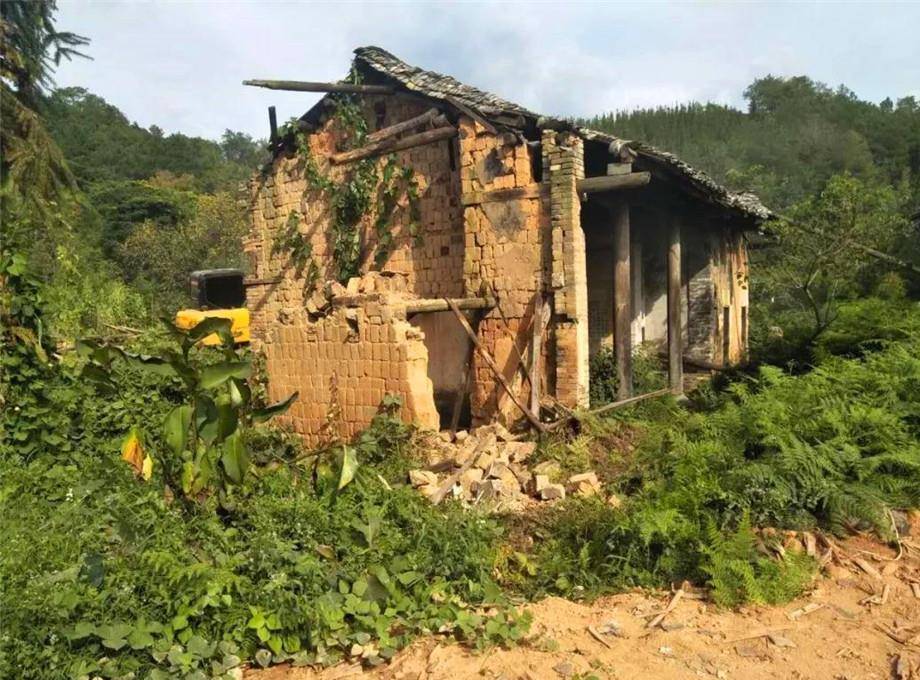 农村新生人口住房_新生人口统计表