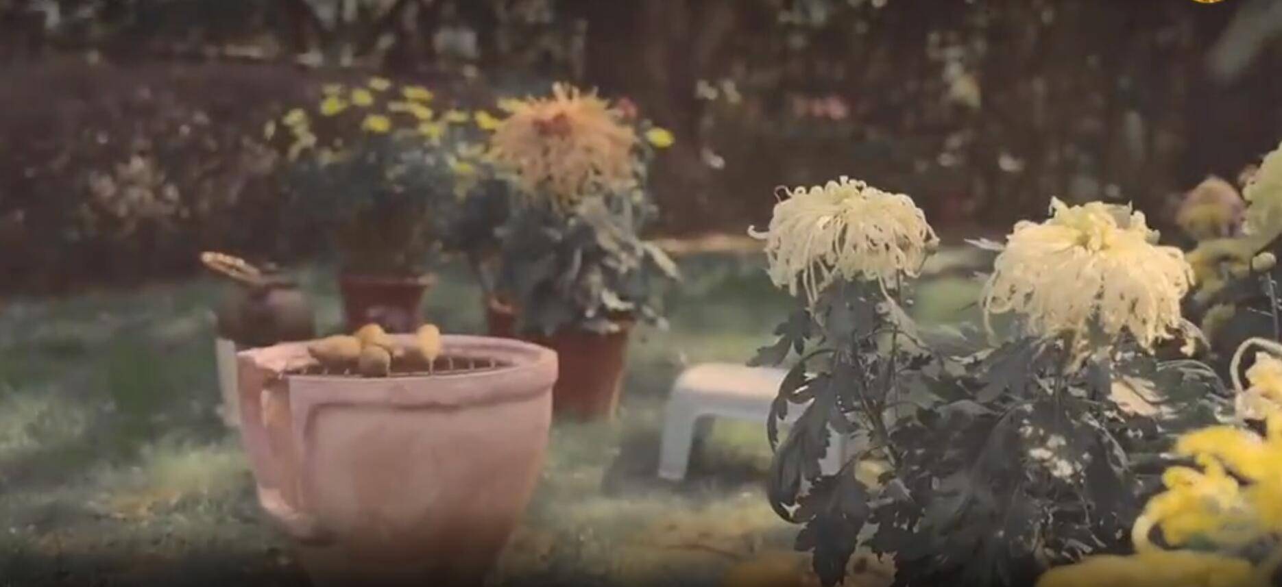 张纪中娇妻豪宅院外生火烤橘子,为“老爷”暖