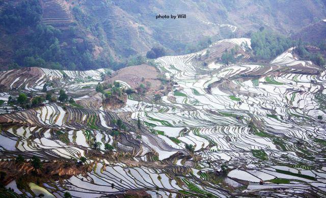 元阳县人口分_元阳县地图