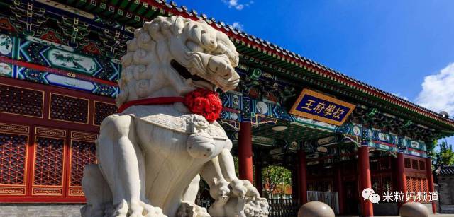 掌中之物女主被猴子强了吗 支持说明