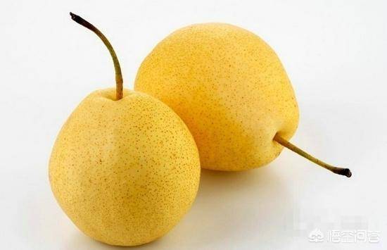 什么食物降胃火最好 569277a88fe04f2bad3687a50bc1feb8.jpeg