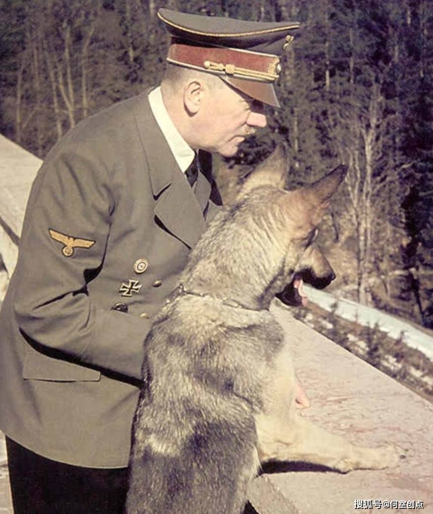 希特勒与一只狼狗之间令人毛骨悚然的关系