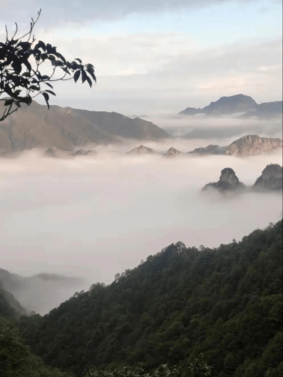 蛰伏在雁荡山那条栈道,冬日中露出了全貌!