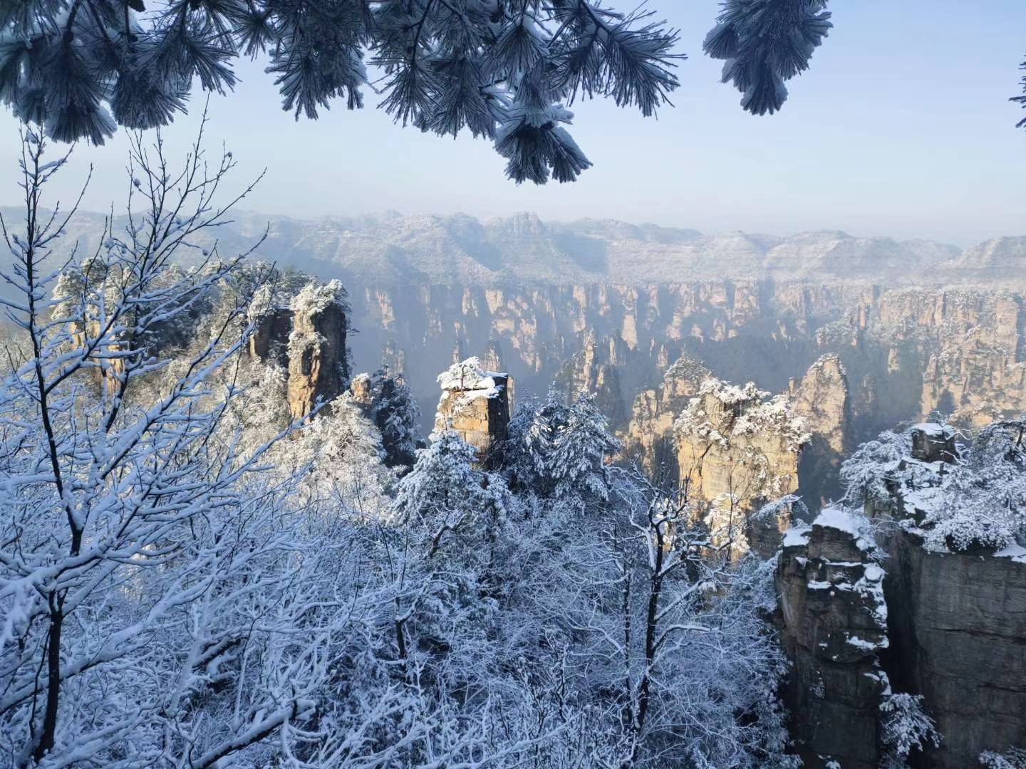 冬季与春节张家界旅游适合吗下雪后景区开放吗张家界旅游攻略自驾游