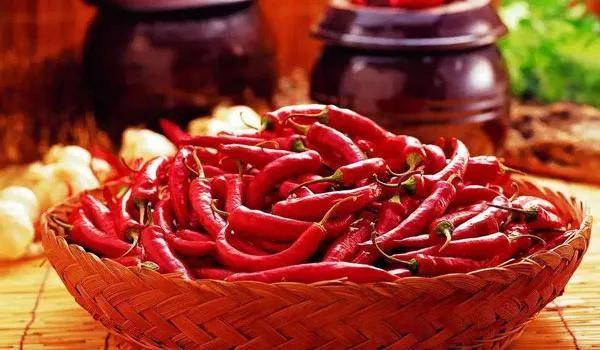 吃什么解羊肉的热 ee3d72a1305e4e1fa05e057854243cd7.jpeg