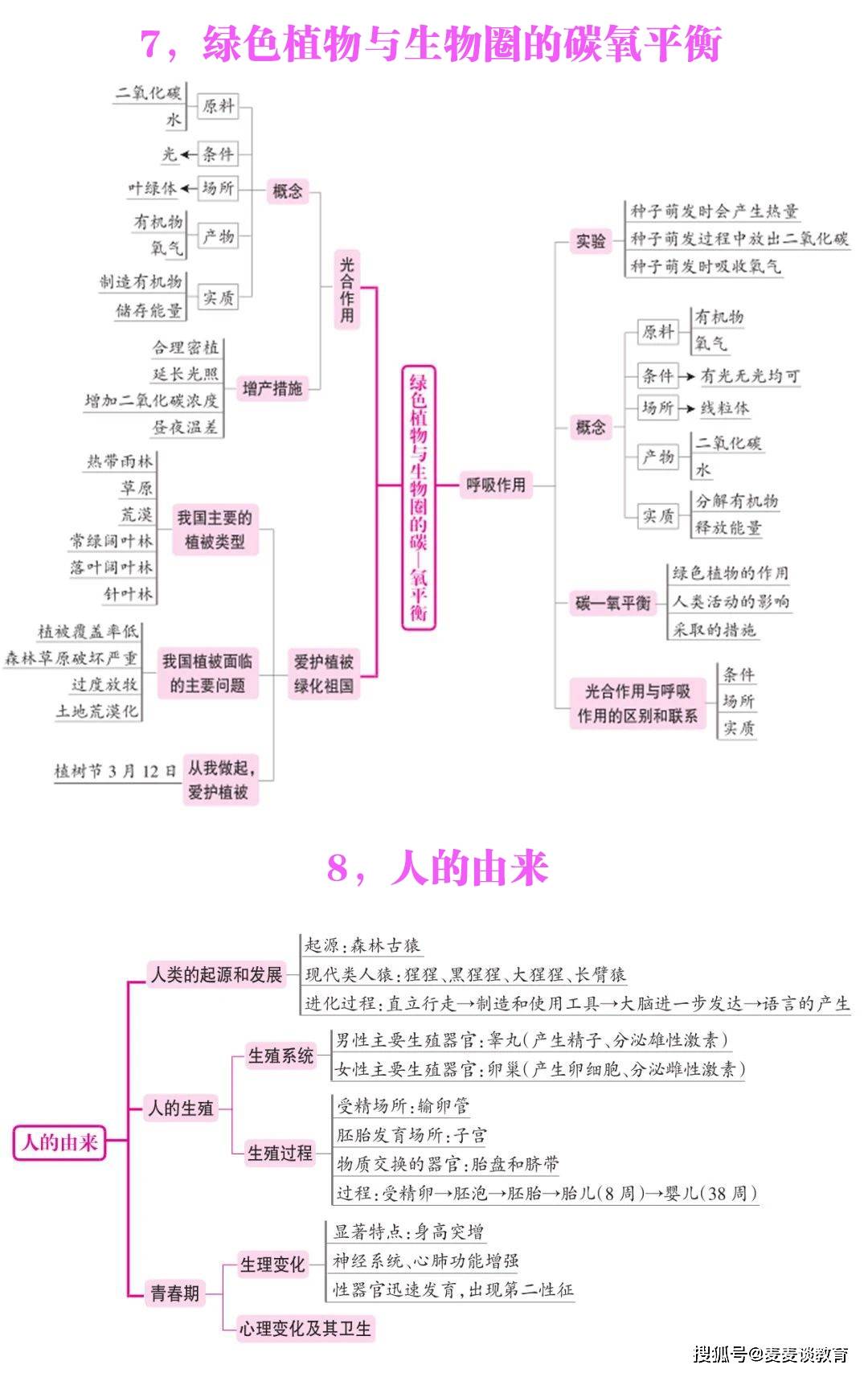 生物|七年级生物13个知识点思维导图(上下册)13张图全