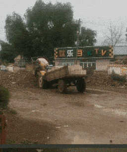 搞笑gif段子:教你如何一秒变沙雕,沙雕网友总是有让人