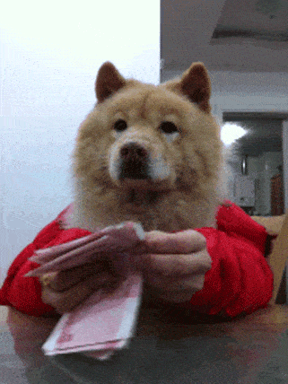 321_428竖版 竖屏gif 动态图 动图