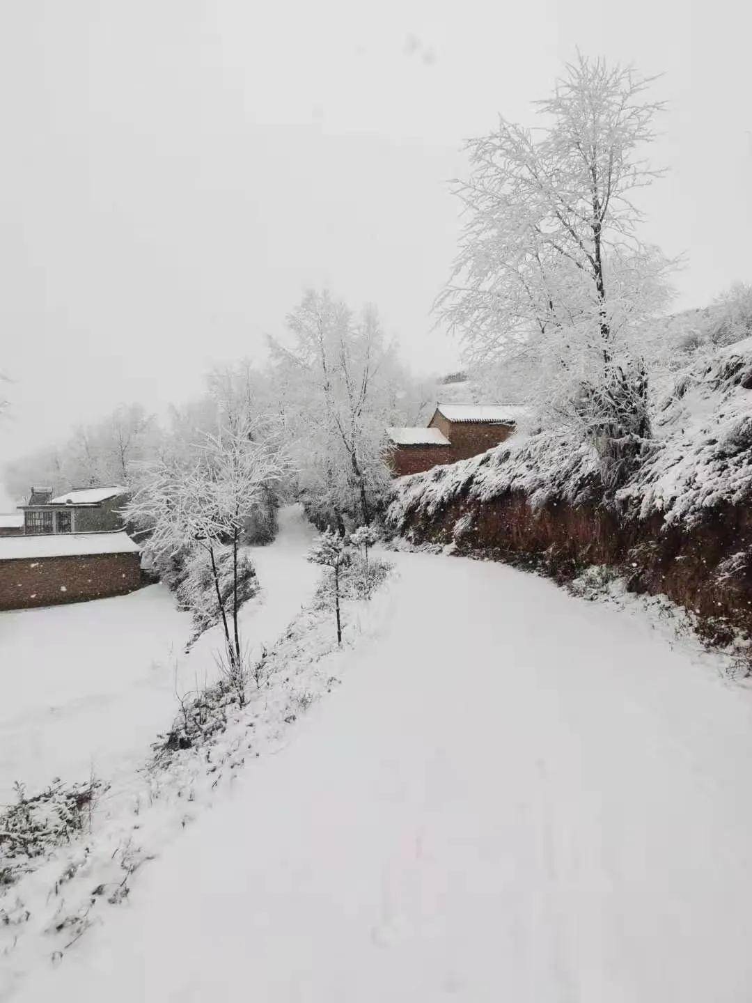 大雪漫天 情却暖人