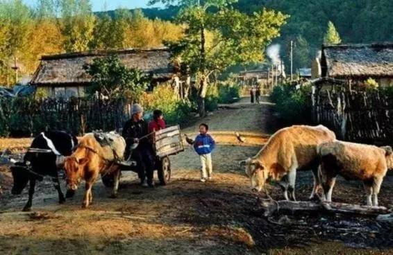老照片:90年代的真实农村生活