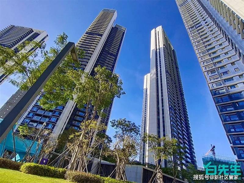 以1.5亿豪宅爆火全网,半岛城邦三期为何备受宠爱?_蛇口