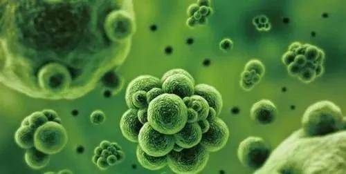 怎么去除屋内异味和霉味 e0e52014f51b45b78fe8771dccd18158.jpeg