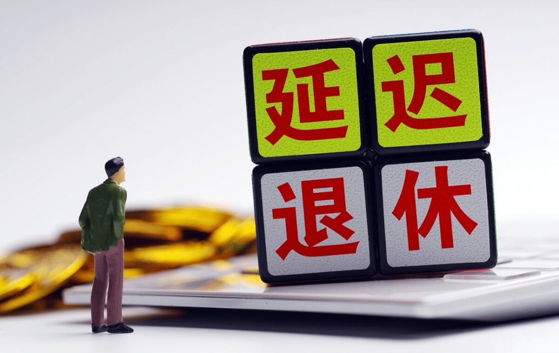 人口老龄化最严重的国家(3)