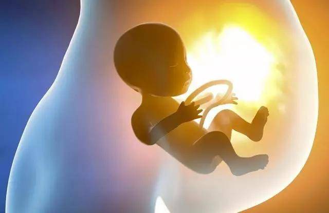 多少斤可以做试管 6e7f2fccb5f547d49a78ae14b10d2238.jpeg