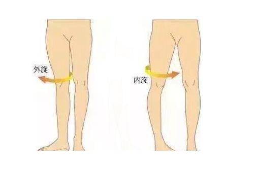 2对于左臂和坐大腿来说.顺时针方向则为内旋转,逆时针方向则为外旋转!