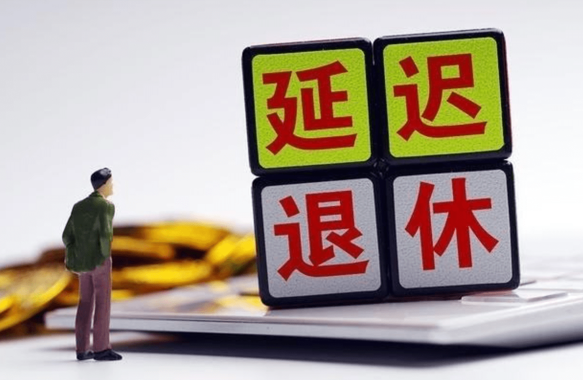 人口普查延迟退休_人口普查