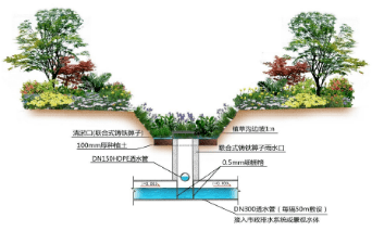 什么是雨污分流原理(2)