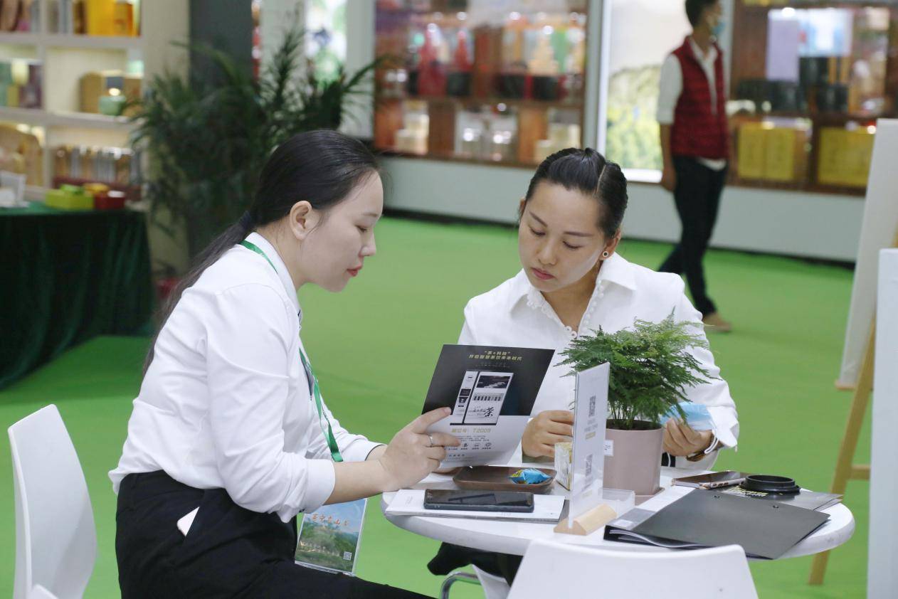 深圳|茶博会首日，火后工夫引爆茶友热情