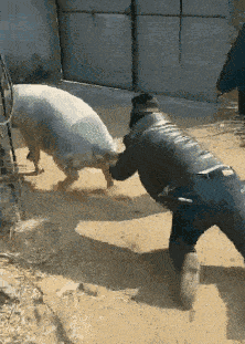 原创搞笑gif段子:媳妇儿,加油,嫁妆就快赢回来了!编辑