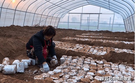 郏县白庙人口_郏县白庙乡老师张巧利(2)