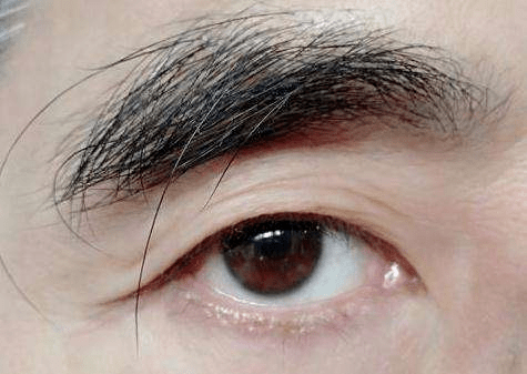 "所指的意思主要是在说眉毛粗短,长细,浓密与否可以表示一个人的气血