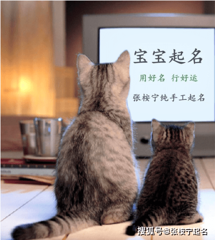 cfe15b60c9cb4c8e93ab412213c1da6d.png