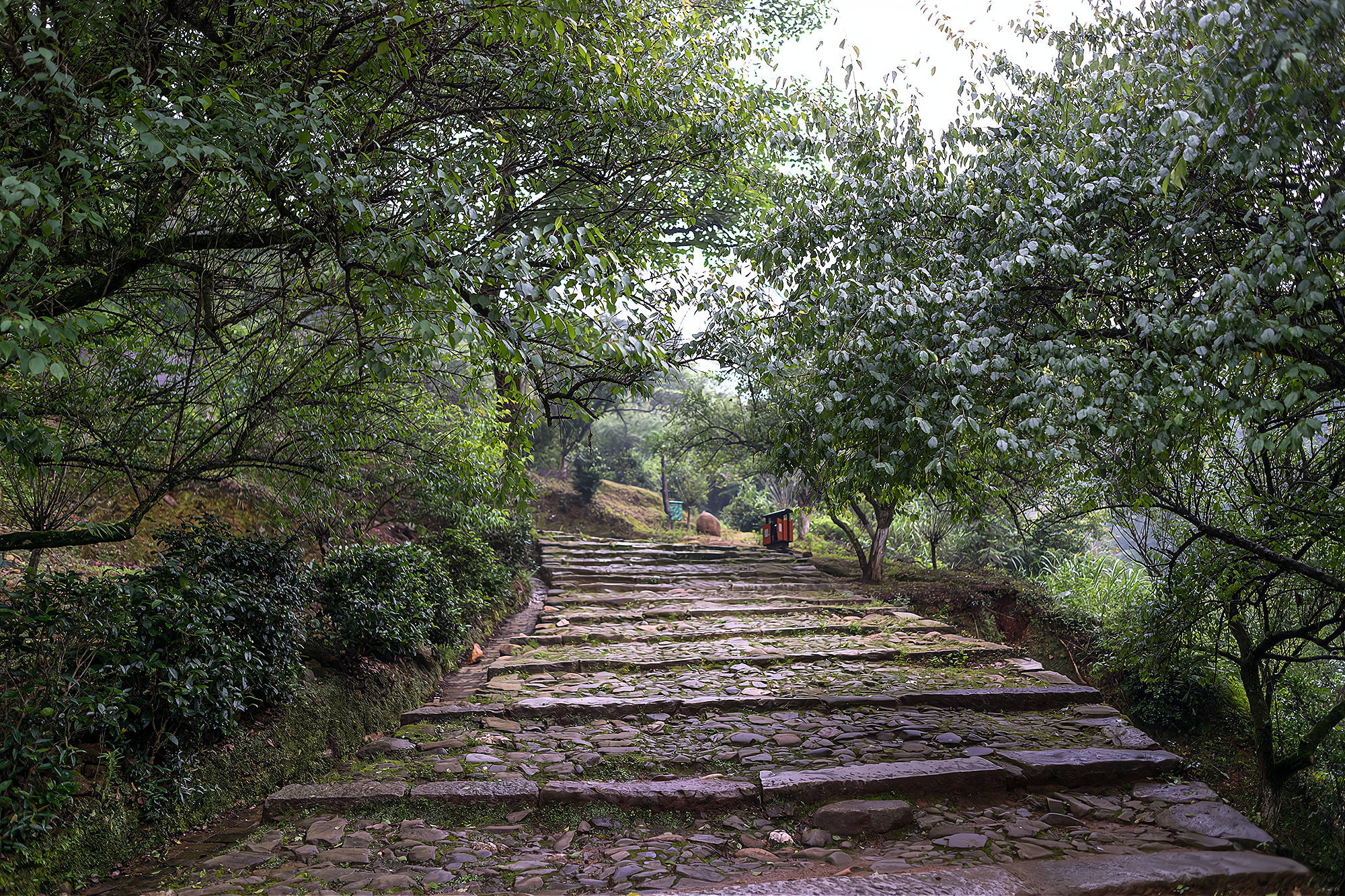 梅关古驿道,中国保存最完好的千年古驿道,古代版的"高速公路"