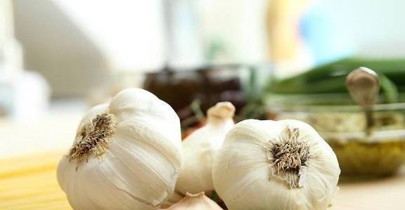 熟蒜和生大蒜的区别 486cba9e2074472bb81c1a9db82c82ca.jpeg