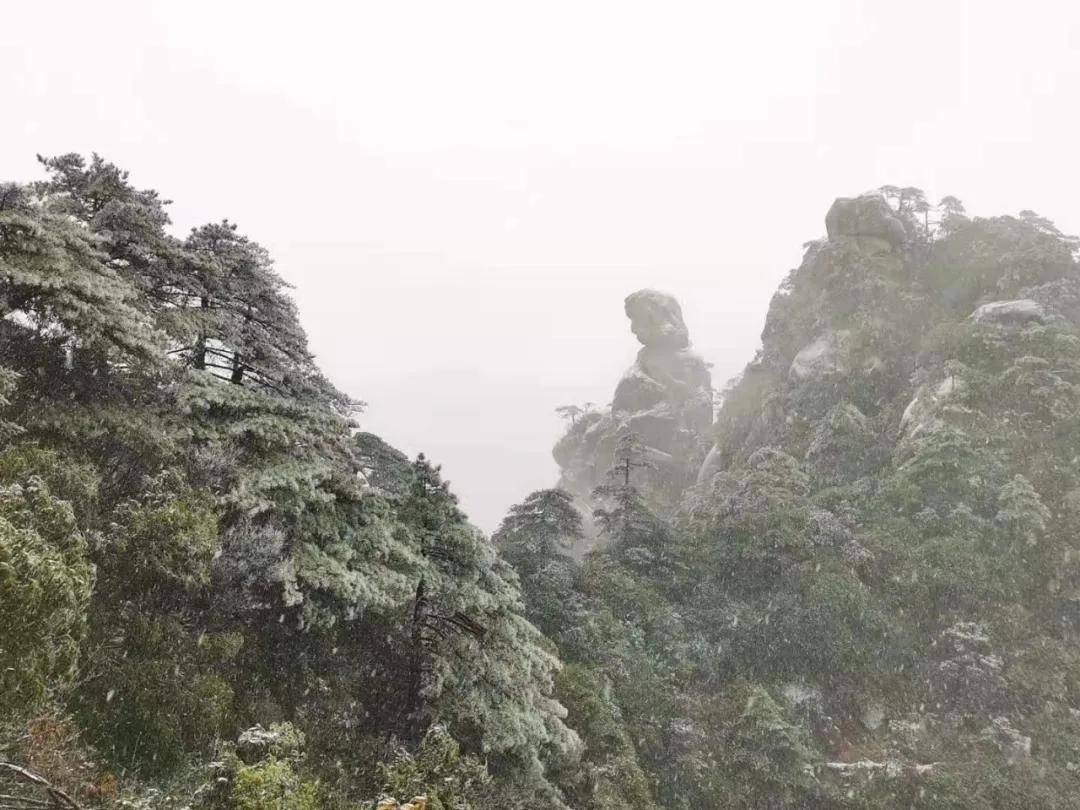 三清山下雪啦!组图带你一秒进入仙境