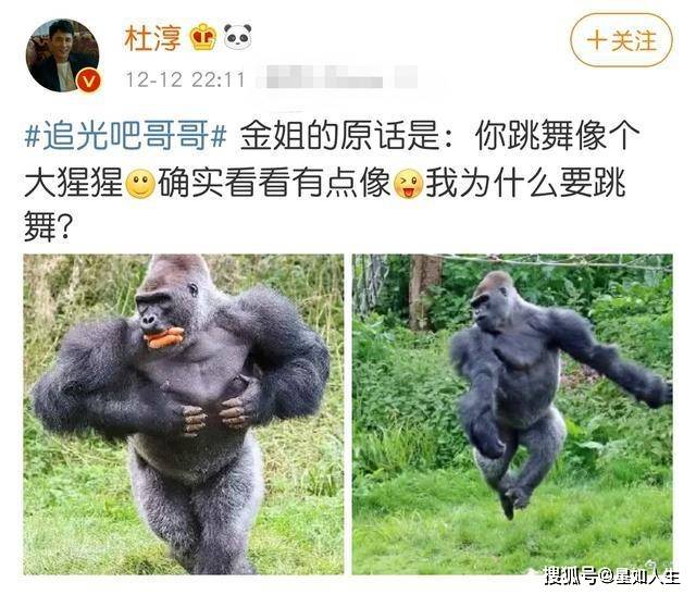 娱记张翰不抵触复合传闻：常关注有郑爽的节目