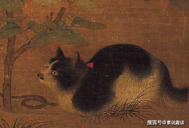 900年前的一幅古画，牡丹花下一只猫，旁边还藏着一条蛇_搜狐网