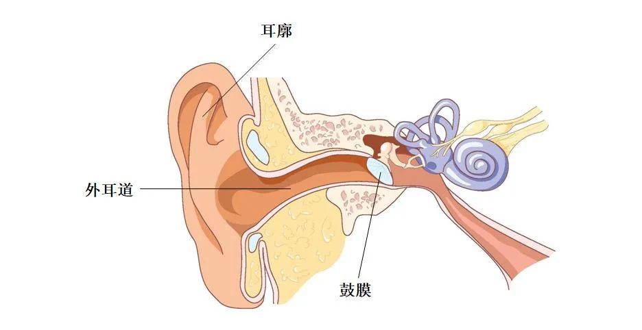 耳朵进水该怎么办?这样做可致宝宝听力受损!_手机搜狐网